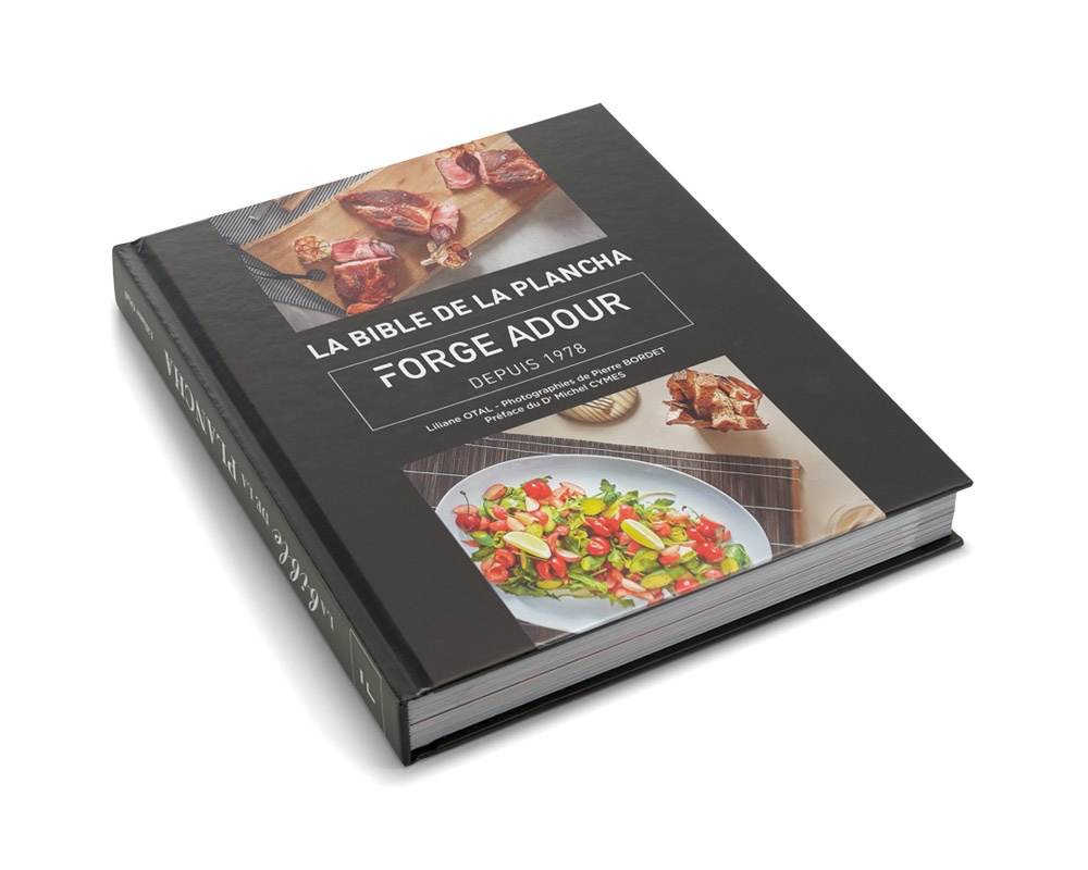 LIBRO: "LA BIBLE DE LA PLANCHA" (EN FRANCÉS)